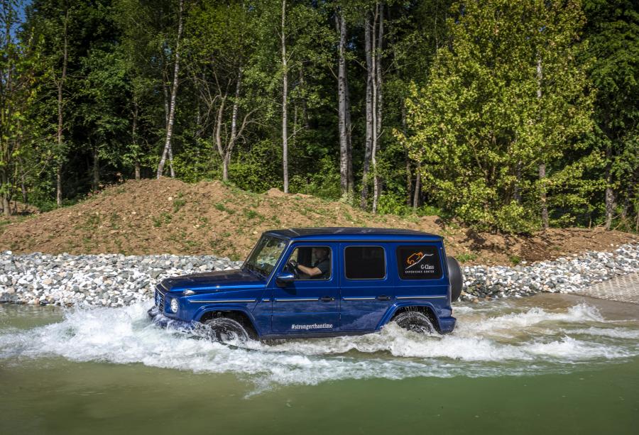  Mercedes-Benz G350 d (W463) 2019 года  (WW) (фото 33 из 41)